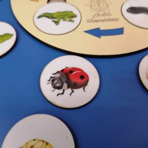 خرید بازی فکری چرخه رشد