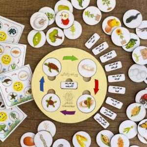 تهیه بازی فکری چرخه رشد